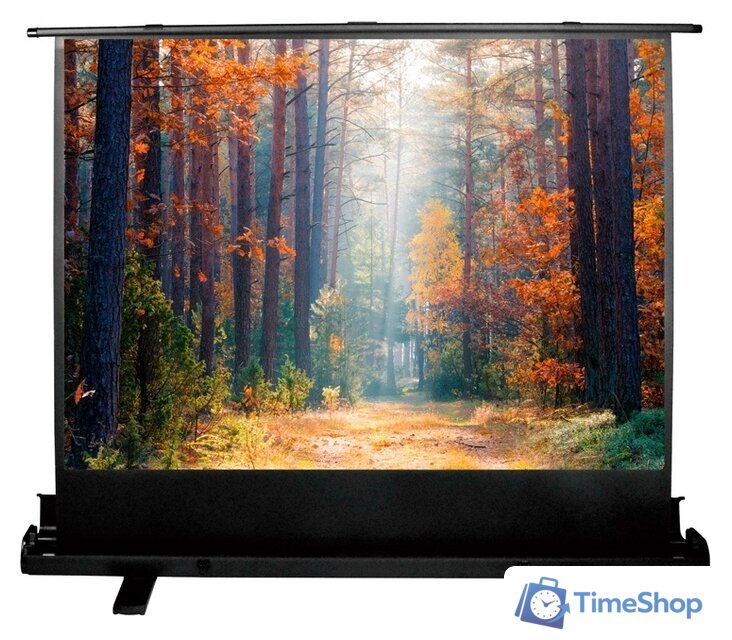 Проекционный экран CACTUS FloorExpert 135x180 CS-PSFLE-180X135 - Изображение №1 — Интернет-магазин Time-Shop