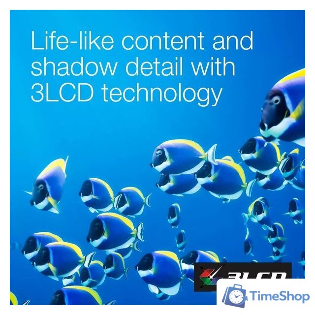 Проектор Epson EF-22N - Изображение №8 — Интернет-магазин Time-Shop