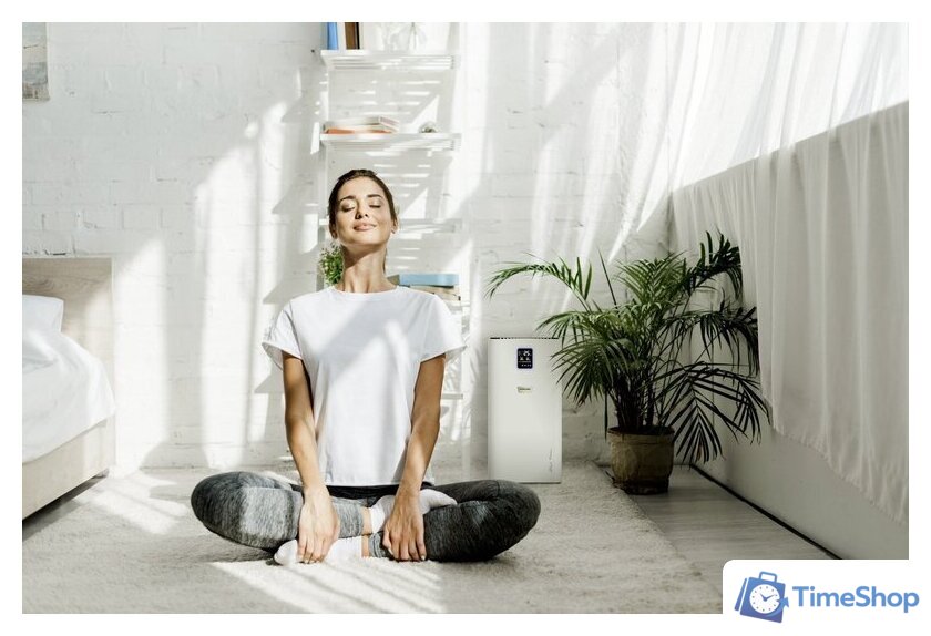 Очиститель воздуха Karcher AF 50 1.024-826.0 - Изображение №7 — Интернет-магазин Time-Shop