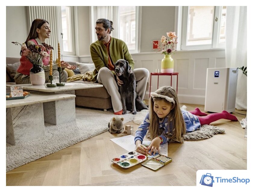 Очиститель воздуха Karcher AF 50 1.024-826.0 - Изображение №6 — Интернет-магазин Time-Shop