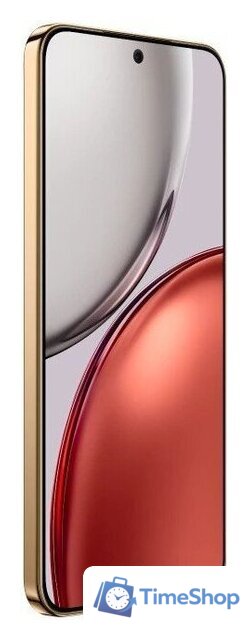 Телефон HONOR X9d 12GB/256GB международная версия (терракотовый) - Изображение №5 — Интернет-магазин Time-Shop