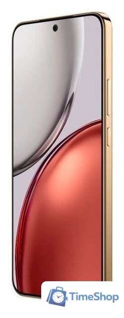 Телефон HONOR X9d 12GB/256GB международная версия (терракотовый) - Изображение №4 — Интернет-магазин Time-Shop