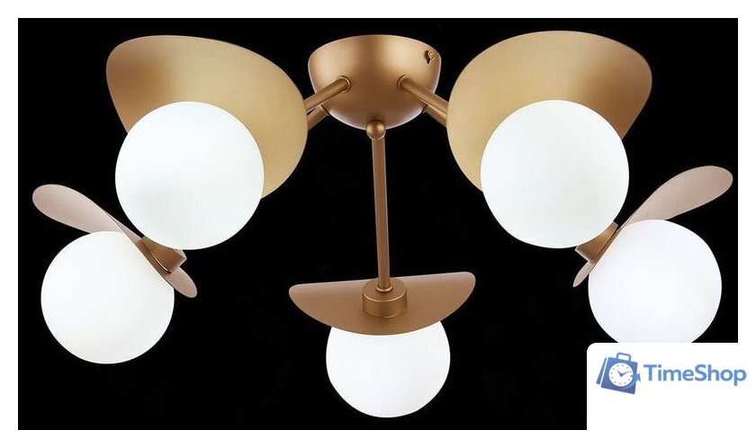 Припотолочная люстра Evoluce Bolzano SLE220502-05 - Изображение №5 — Интернет-магазин Time-Shop