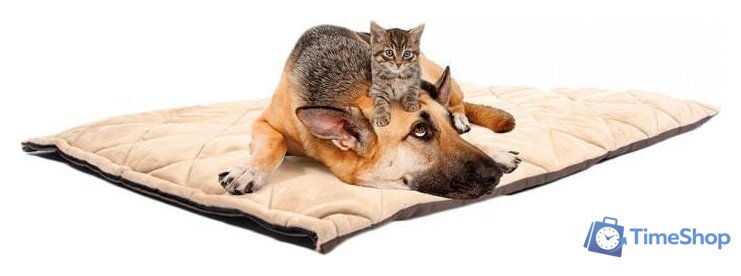 Лежак Duvo Plus Флекта 4198012/DV - Изображение №1 — Интернет-магазин Time-Shop