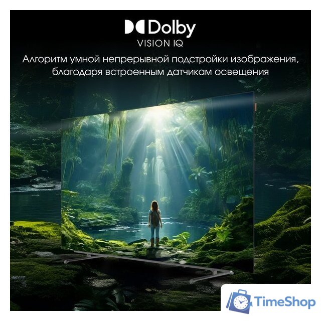 OLED телевизор Digma Pro OLED 55M - Изображение №14 — Интернет-магазин Time-Shop