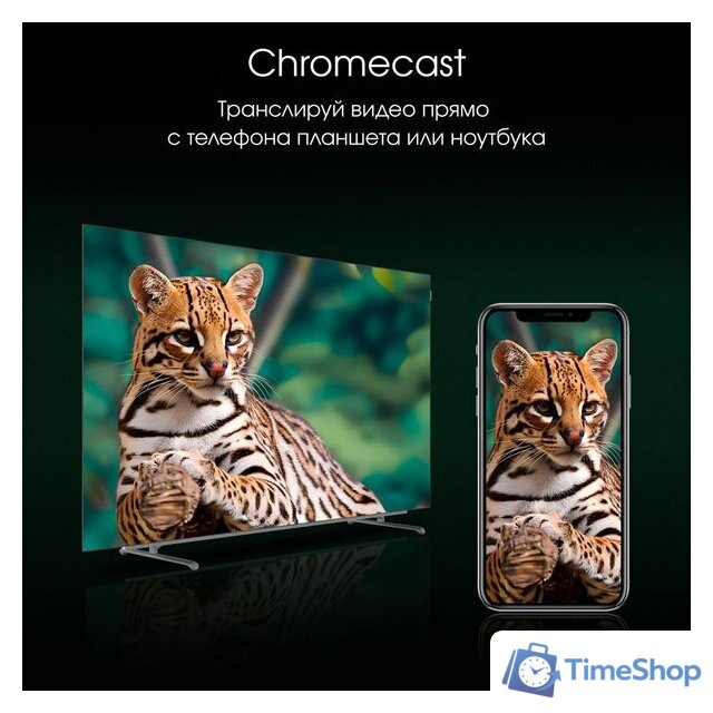 OLED телевизор Digma Pro OLED 55M - Изображение №11 — Интернет-магазин Time-Shop