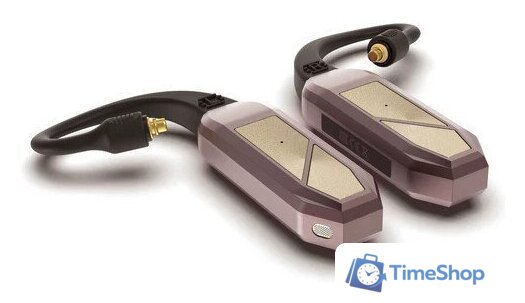 TWS-модуль iFi audio GO pod Max - Изображение №2 — Интернет-магазин Time-Shop