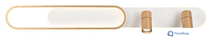 Светильник Favourite Planar 4075-2C - Изображение №1 — Интернет-магазин Time-Shop