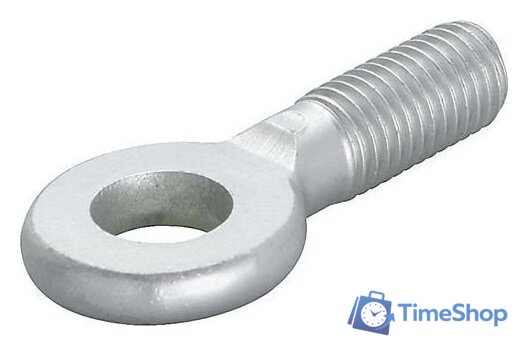 Набор болтов Fischer AG M10x25 79697 (100 шт) - Изображение №1 — Интернет-магазин Time-Shop