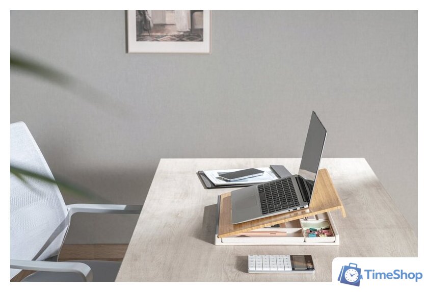 Подставка CACTUS CS-NB-BAMB - Изображение №12 — Интернет-магазин Time-Shop