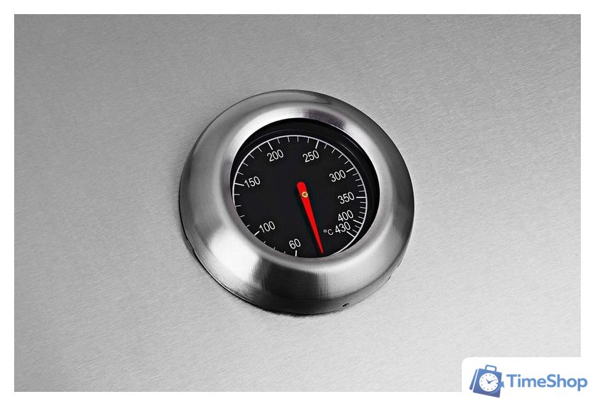 Газовый гриль для дачи Koler Relish v1 Compact (серебристый) - Изображение №9 — Интернет-магазин Time-Shop