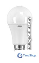 Светодиодная лампочка Gauss LED Elementary A67 E27 30 Вт 4100 К 73229 - Изображение №1 — Интернет-магазин Time-Shop