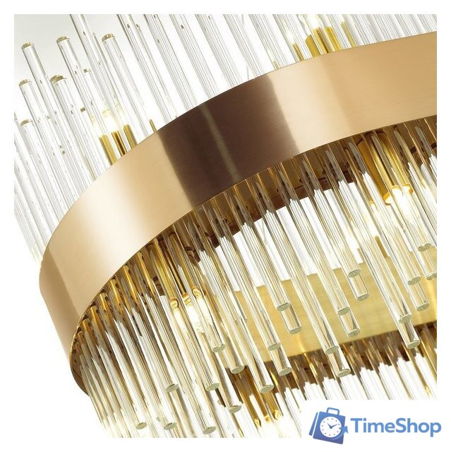 Подвесная люстра Odeon Light Focco 4722/24 - Изображение №3 — Интернет-магазин Time-Shop