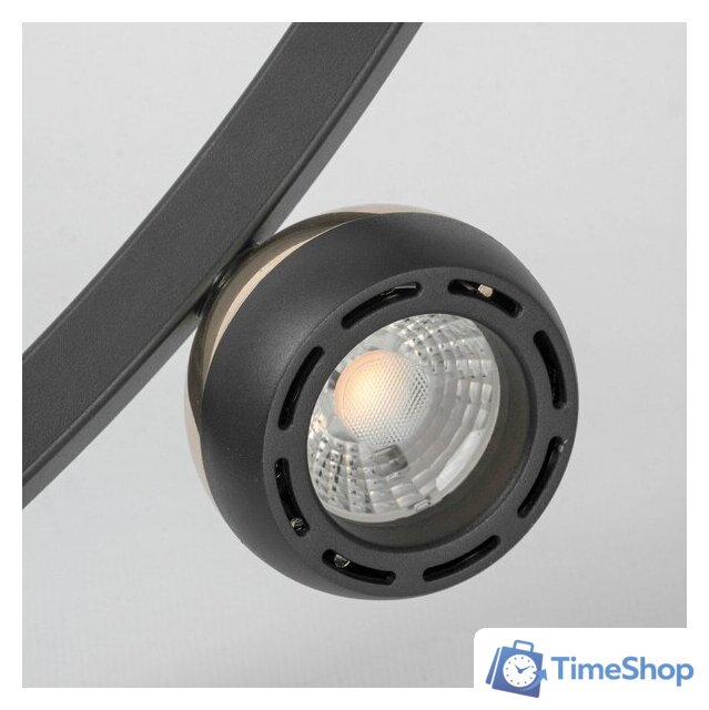 Подвесная люстра Lussole Lassen LSP-7253 - Изображение №2 — Интернет-магазин Time-Shop