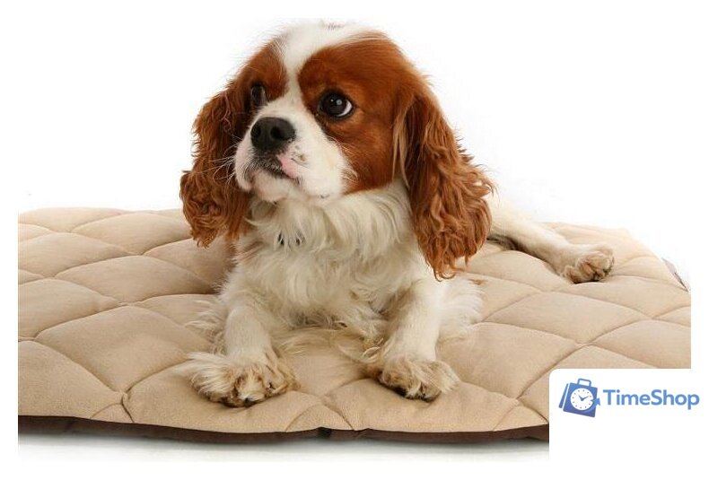 Лежак Duvo Plus Флекта 4198011/DV - Изображение №2 — Интернет-магазин Time-Shop