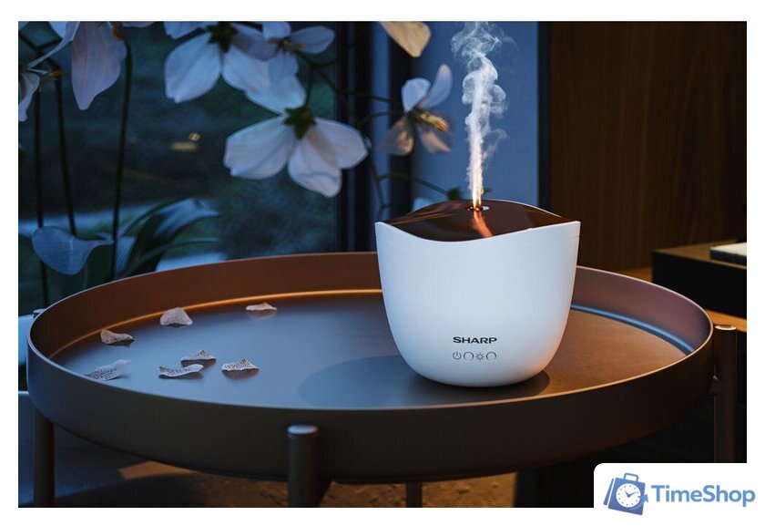 Увлажнитель воздуха Sharp DF-A1E-W - Изображение №3 — Интернет-магазин Time-Shop