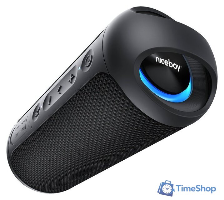 Беспроводная колонка Niceboy Raze Origin 5 - Изображение №1 — Интернет-магазин Time-Shop