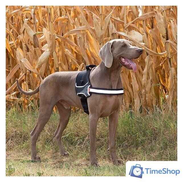 Шлея Ferplast Hercules P XL 75468517 (черный) - Изображение №2 — Интернет-магазин Time-Shop