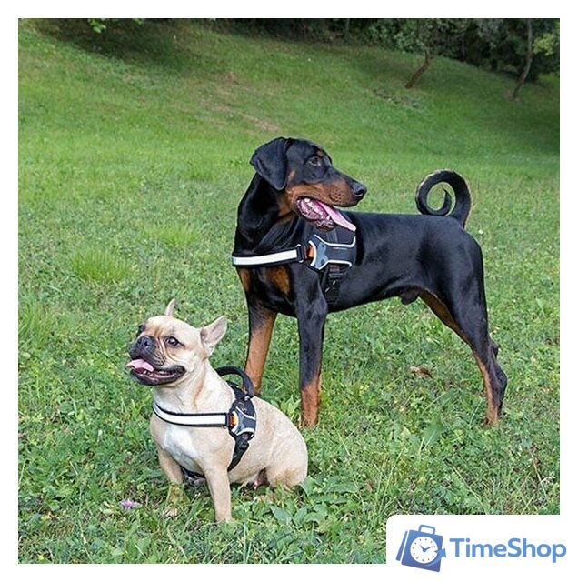 Шлея Ferplast Hercules P XL 75468517 (черный) - Изображение №3 — Интернет-магазин Time-Shop