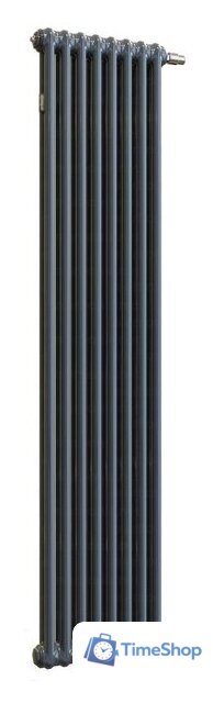 Стальной трубчатый радиатор Arbonia RRN 2180/5 24 (RAL 7016, подключение слева-направо) - Изображение №1 — Интернет-магазин Time-Shop