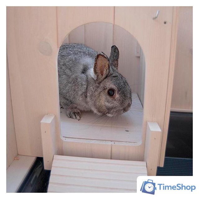 Клетка Ferplast Cottage Mini 57093900 - Изображение №6 — Интернет-магазин Time-Shop