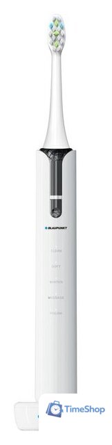 Электрическая зубная щетка Blaupunkt DTS511 - Изображение №1 — Интернет-магазин Time-Shop