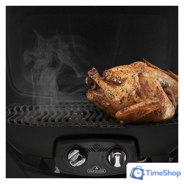 Портативный газовый гриль Napoleon TravelQ 285-1 - Изображение №4 — Интернет-магазин Time-Shop