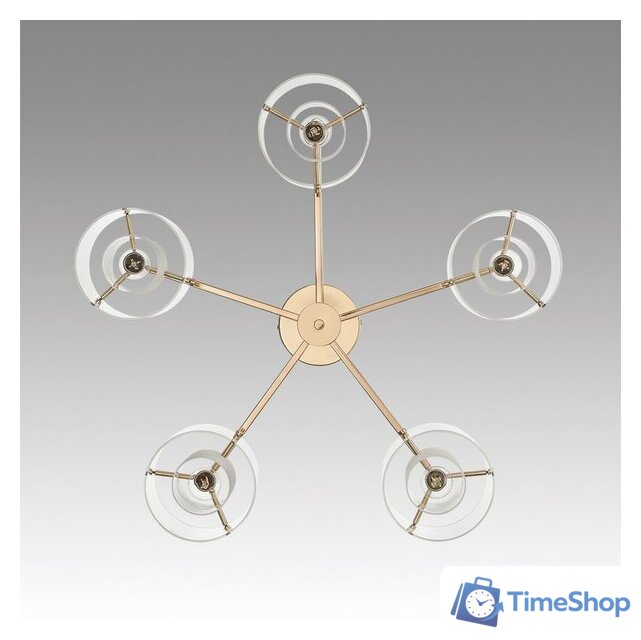 Люстра Lumion Verdi 6587/5C - Изображение №5 — Интернет-магазин Time-Shop