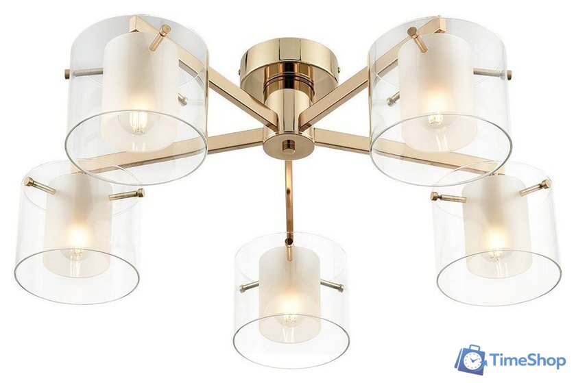 Люстра Lumion Verdi 6587/5C - Изображение №2 — Интернет-магазин Time-Shop