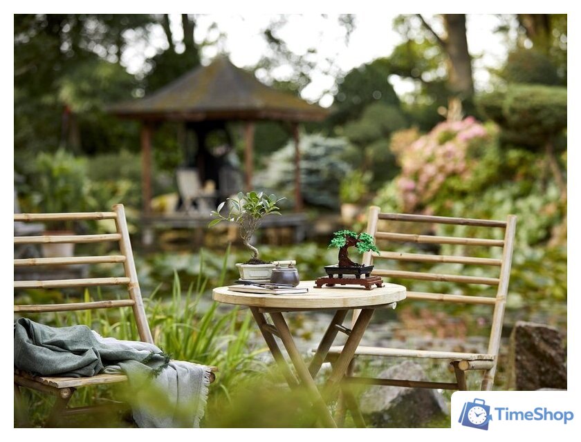 Конструктор LEGO Creator 10281 Бонсай - Изображение №16 — Интернет-магазин Time-Shop