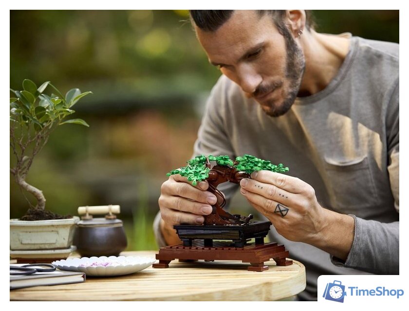 Конструктор LEGO Creator 10281 Бонсай - Изображение №19 — Интернет-магазин Time-Shop