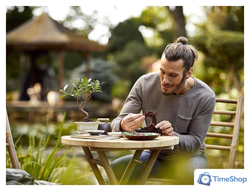 Конструктор LEGO Creator 10281 Бонсай - Изображение №15 — Интернет-магазин Time-Shop