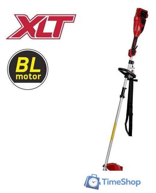 Триммер Wortex TB 3036-1 ALL1 XLT Solo 1334871 (без АКБ) - Изображение №1 — Интернет-магазин Time-Shop