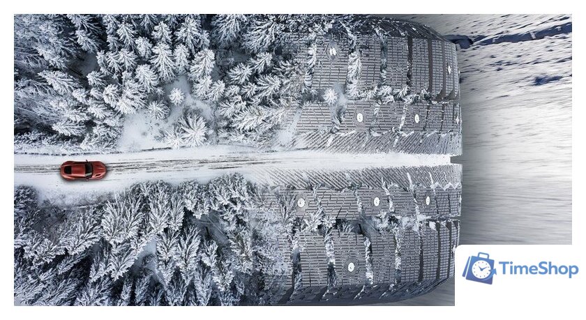 Зимние шины Pace Antarctica Ice 215/55R17 94T (шипы) - Изображение №2 — Интернет-магазин Time-Shop