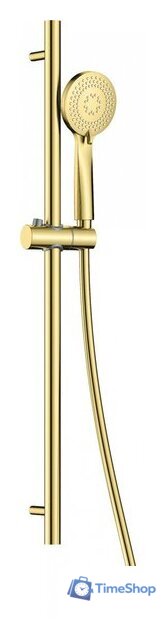 Душевой гарнитур  Deante Arnika NQA R51K - Изображение №1 — Интернет-магазин Time-Shop