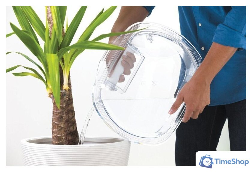 Сушильная машина Candy CSOE H8A2TE-S - Изображение №2 — Интернет-магазин Time-Shop