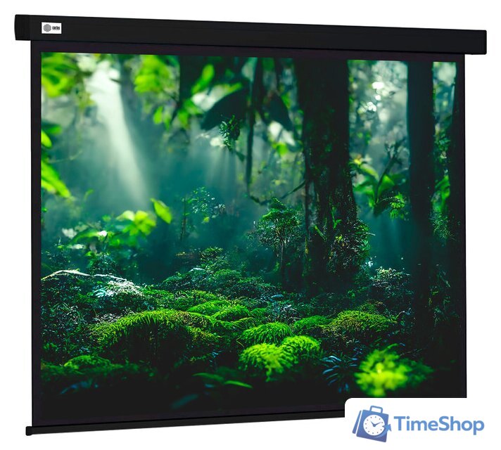 Проекционный экран CACTUS Wallscreen 213x213 CS-PSW-213X213-BK - Изображение №1 — Интернет-магазин Time-Shop