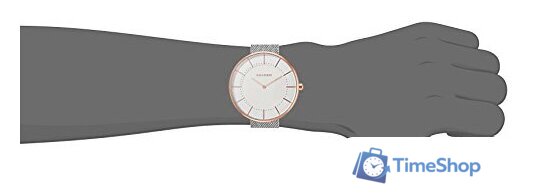Наручные часы Skagen SKW2583 - Изображение №5 — Интернет-магазин Time-Shop