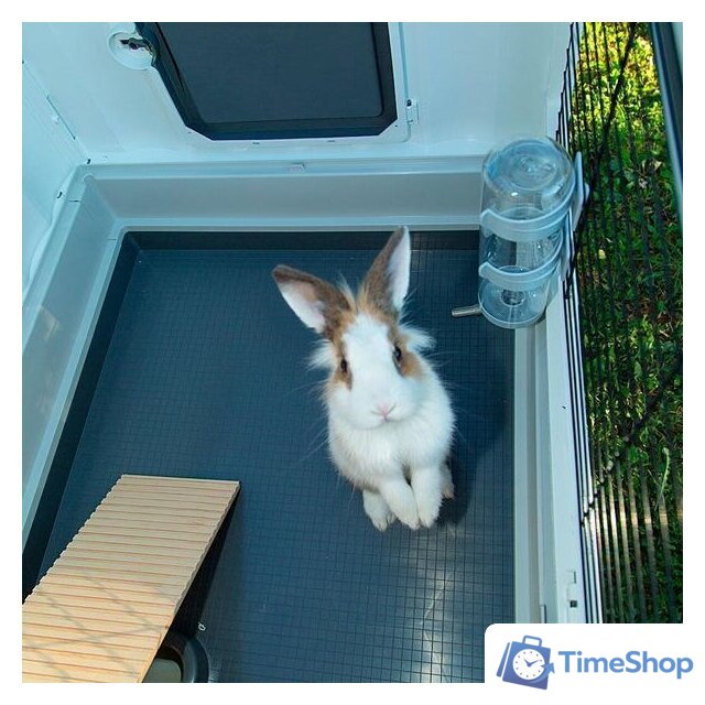 Клетка Ferplast Grand Lodge Plus 120 57087800 - Изображение №3 — Интернет-магазин Time-Shop