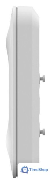 Точка доступа Ruijie Networks RG-RAP2200(E) - Изображение №3 — Интернет-магазин Time-Shop