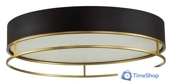 Припотолочная люстра Sonex Lofty 7723/65L - Изображение №3 — Интернет-магазин Time-Shop