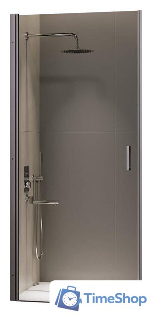 Душевая дверь RGW LE-003Gr 351200307-110 - Изображение №1 — Интернет-магазин Time-Shop