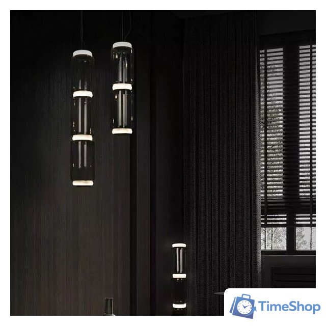 Подвесная люстра LOFT IT Noctambule 10193/L - Изображение №2 — Интернет-магазин Time-Shop