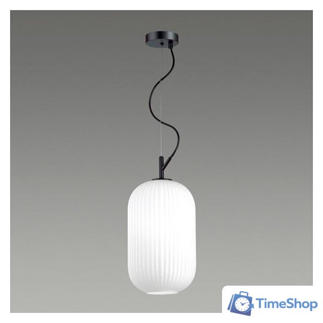 Подвесная люстра Odeon Light Roofi 4751/1 - Изображение №3 — Интернет-магазин Time-Shop