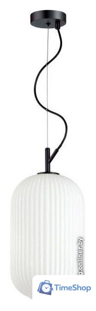 Подвесная люстра Odeon Light Roofi 4751/1 - Изображение №1 — Интернет-магазин Time-Shop