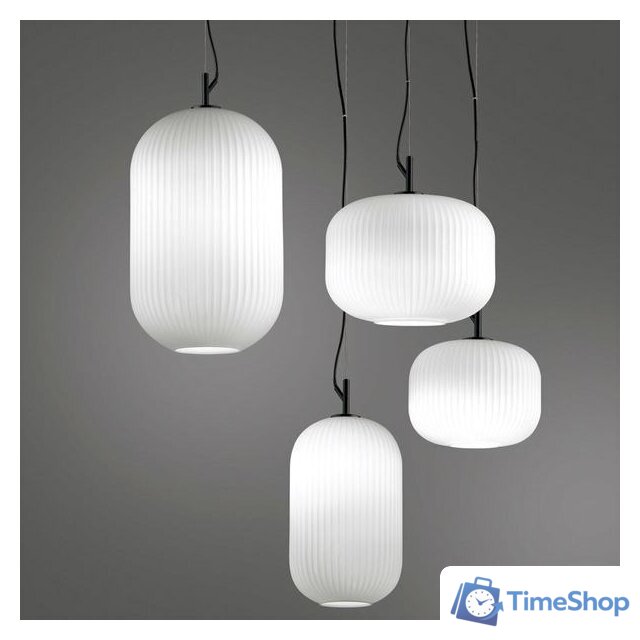 Подвесная люстра Odeon Light Roofi 4751/1 - Изображение №4 — Интернет-магазин Time-Shop