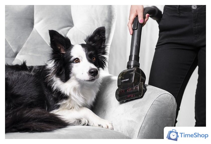 Пылесос Concept VP5150 - Изображение №4 — Интернет-магазин Time-Shop