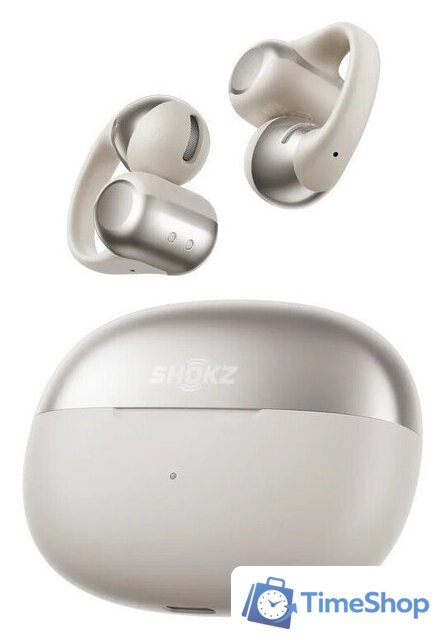 Наушники Shokz OpenDots One (серый) - Изображение №1 — Интернет-магазин Time-Shop