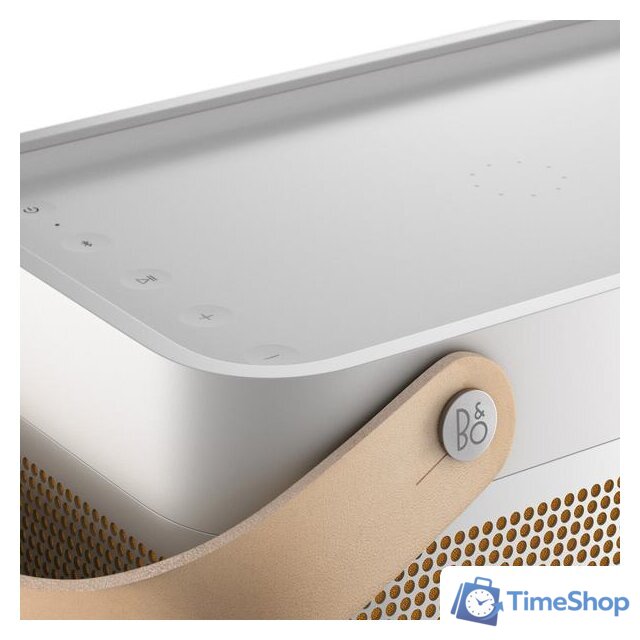 Беспроводная колонка Bang & Olufsen Beolit 20 (серый) - Изображение №10 — Интернет-магазин Time-Shop