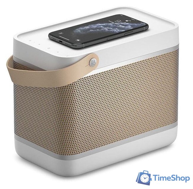 Беспроводная колонка Bang & Olufsen Beolit 20 (серый) - Изображение №2 — Интернет-магазин Time-Shop